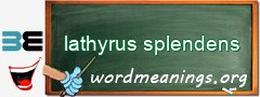 WordMeaning blackboard for lathyrus splendens